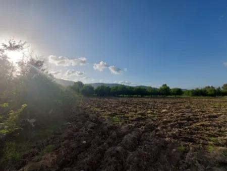 Muğla Ortaca, Dalaklı 2.000 M2, 400 M2 Wohngrundstück Zum Verkauf Mit Baurecht