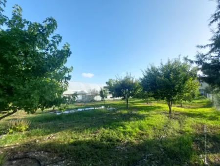 130 M2, 2 1 Dorfhaus Auf 1 330 M2 Freistehendem Grundstück In Ortaca Ekşiliyurt Zu Verkaufen Oder Teilweise Gegen Eine Wohnung Auszutauschen