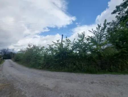 5.000 M2 Grundstück Mit 150 M2 Baurecht Stehen In Muğla Dalyan Zum Verkauf