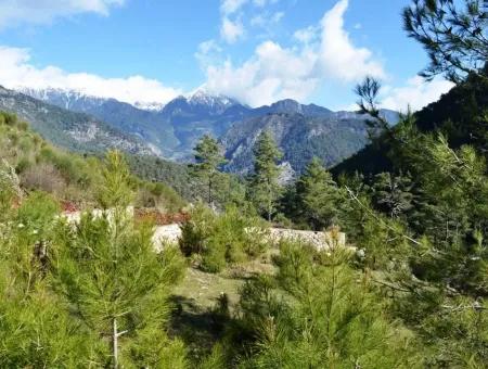 Grundstück Zum Verkauf In Fethiye Kizilbel