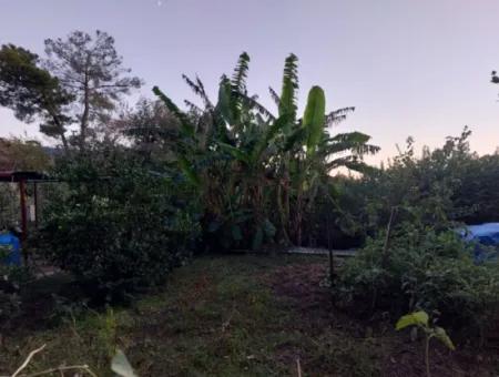 350 M2 Freistehendes Tiny House Geeignetes Grundstück Zum Verkauf In Ortaca Çaylı