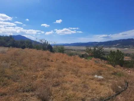 2 1 Häuser Und 200 M2 Scheune Auf 5 000 M2 Freistehendem Grundstück In Çameli Kızılyaka Zu Verkaufen