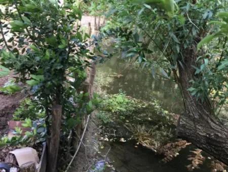 Muğla Ortaca Okçularda Unmöbliert Zu Vermieten 2 1 Garten Dorf Haus