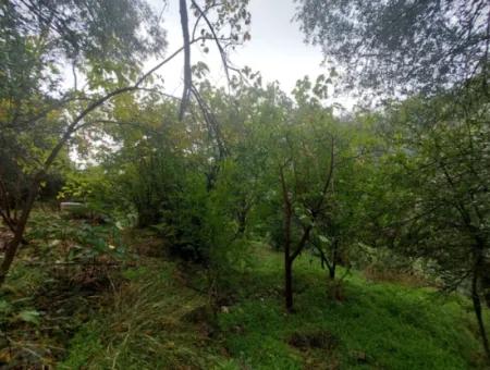 Dorfhaus Mit Eigentumsurkunde Zum Verkauf In Der Natur In Muğla Fethiye İnlice