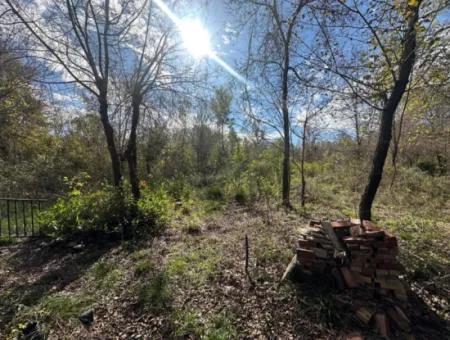 12 000 M2 Feld Zum Verkauf In Ortaca Yeşilyurt