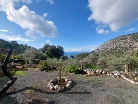 2 Freistehende Wohnungen Mit Meerblick In Gökbel, Muğla Dalyan Zur Miete