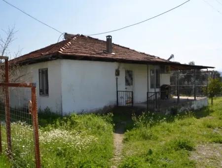 Zeytinalani Koycegiz Mit Blick Auf Den See Zum Verkauf In Village House