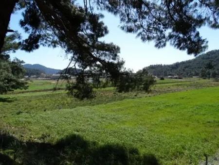 10.000 M2 Grundstück, Das Für Investitionen Geeignet Ist, Stehen Zum Verkauf In Ortaca Gölbasi