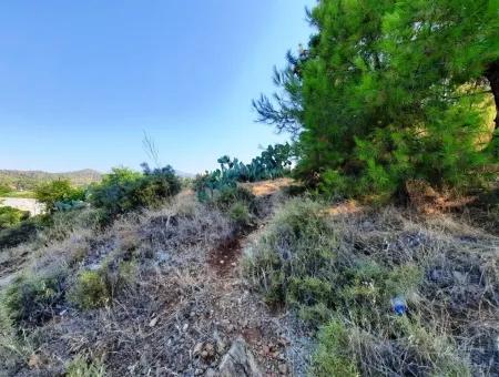 Grundstück Mit Meerblick Zum Verkauf In Fethiye Ciftlikkoy