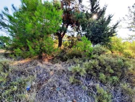 Grundstück Mit Meerblick Zum Verkauf In Fethiye Ciftlikkoy