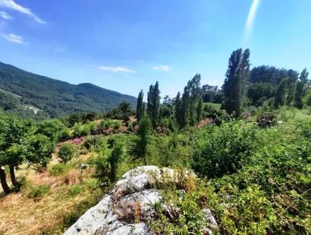 Köycegiz Yayla, Agla Dorf Zum Verkauf Freistehendes Land Geeignet Für Investitionen Mit Seeblick