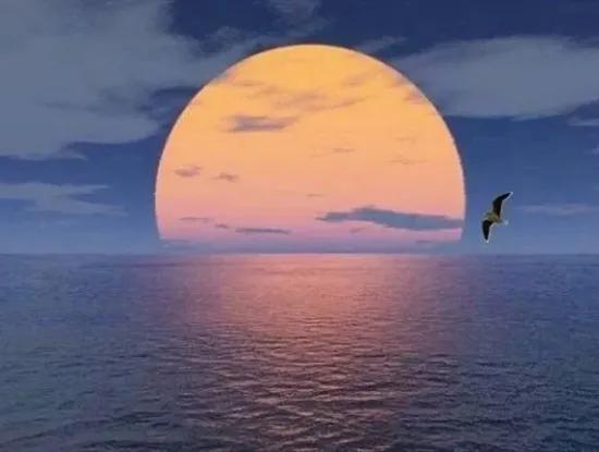 Boden-Bereitstellung