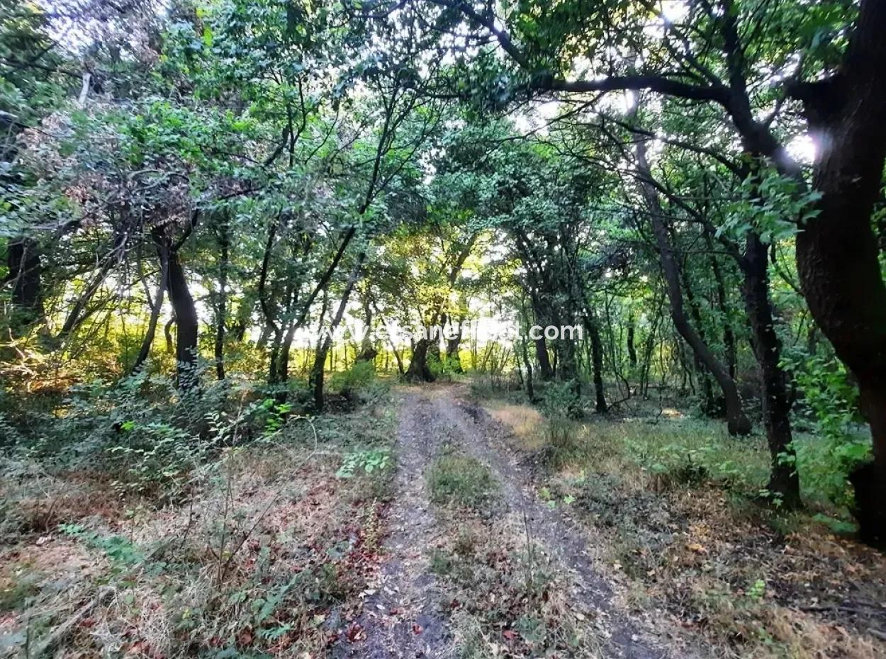 Land Suitable For Investment For Sale In Mugla Dalyan Marmarlı