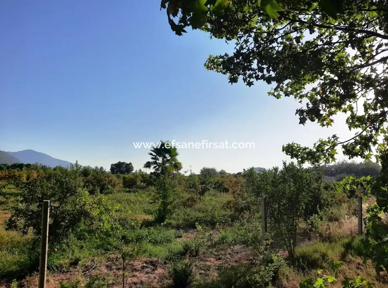 Land Suitable For Investment For Sale In Mugla Dalyan Marmarlı