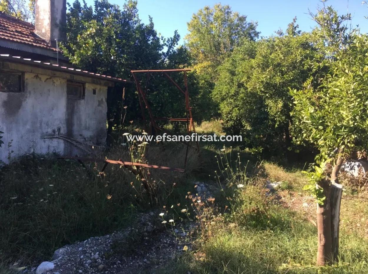 Land And Old Village House For Sale In Köyceeğiz Fire