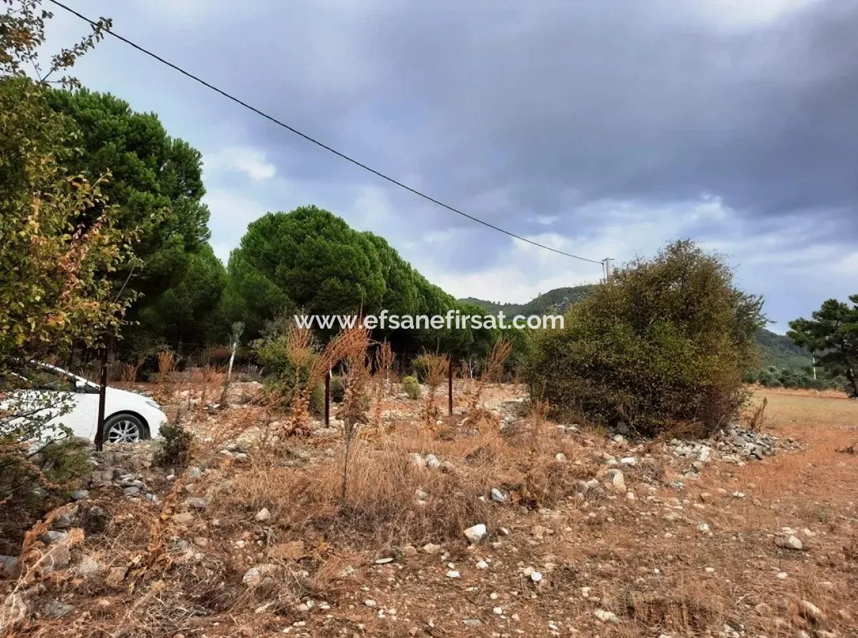 Detached Land With Lake Views For Sale In Köyceeğiz Zeytin Area