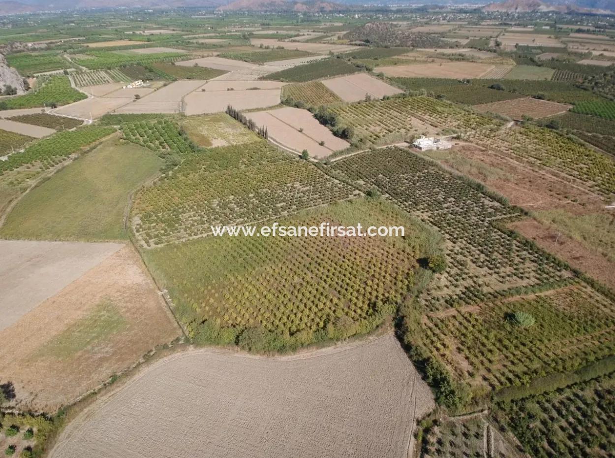 Detached Fertile Bargain Land For Sale In Ortaca Mergenli