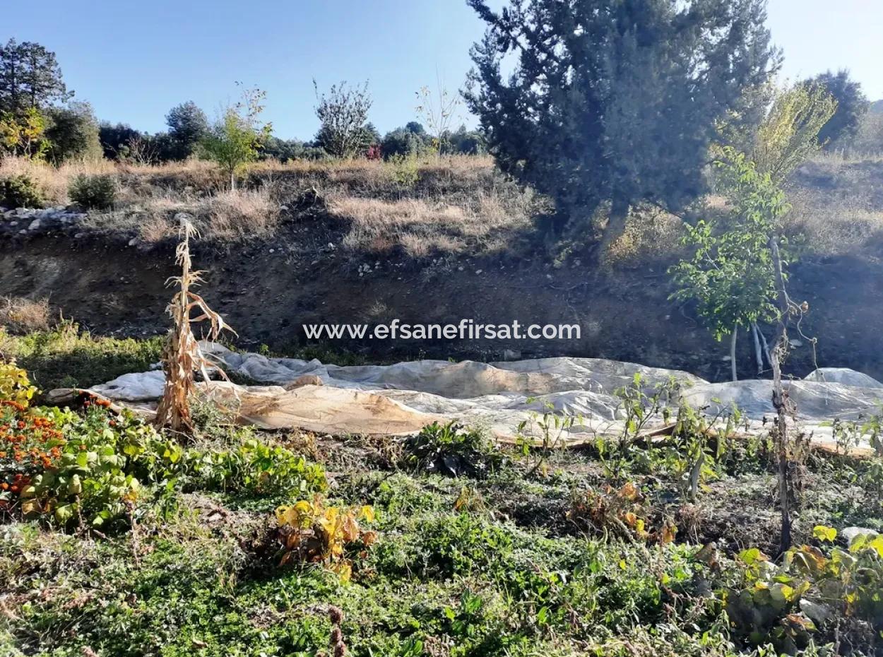 Denizli Çameli Kizilyaka Butterfly Land And Village House With Dog View For Sale