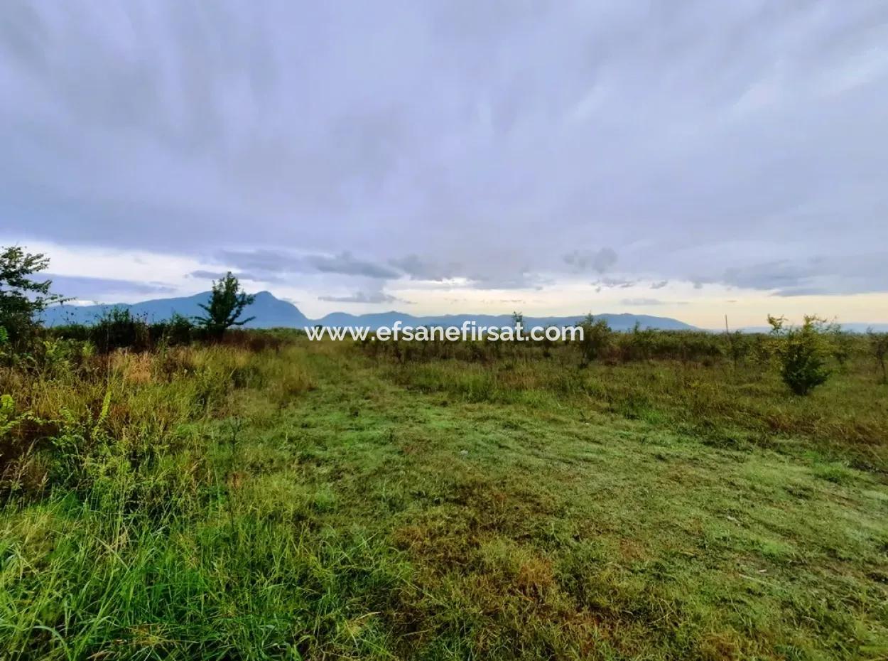 13250 M2 Detached Deed Bargain Land For Sale Between Ortaca Tepearasi