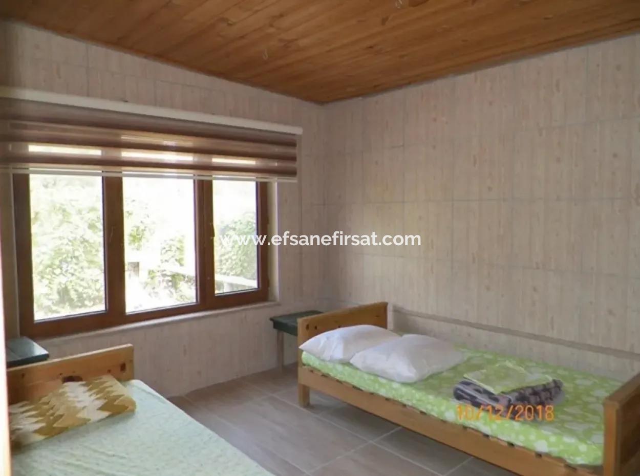 12 000 M2 Farm For Sale Certified Organic Agriculture Oriya Eskiköy