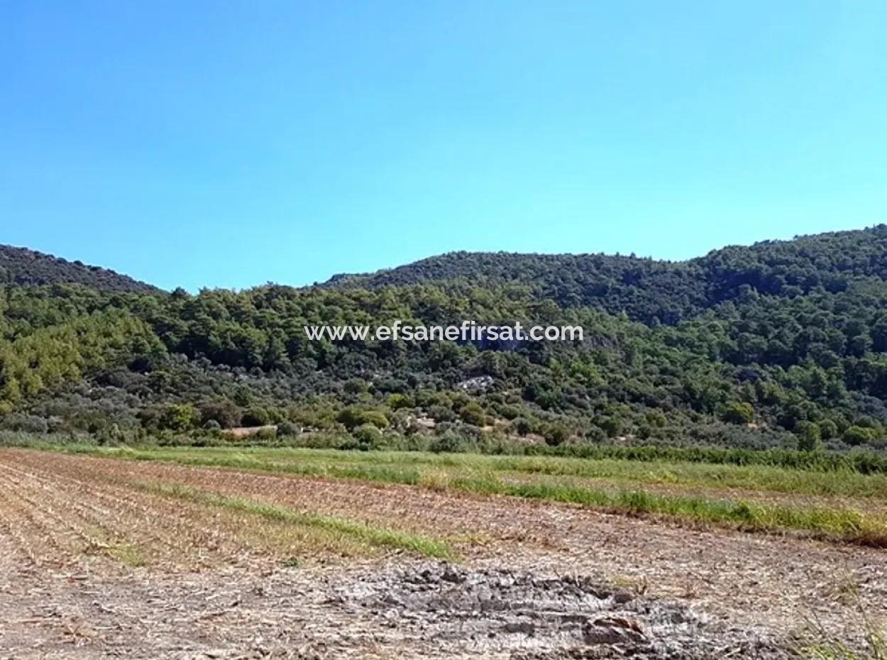 Fertile Bargain Land For Sale In Muğla Ortaca Güzelyurt