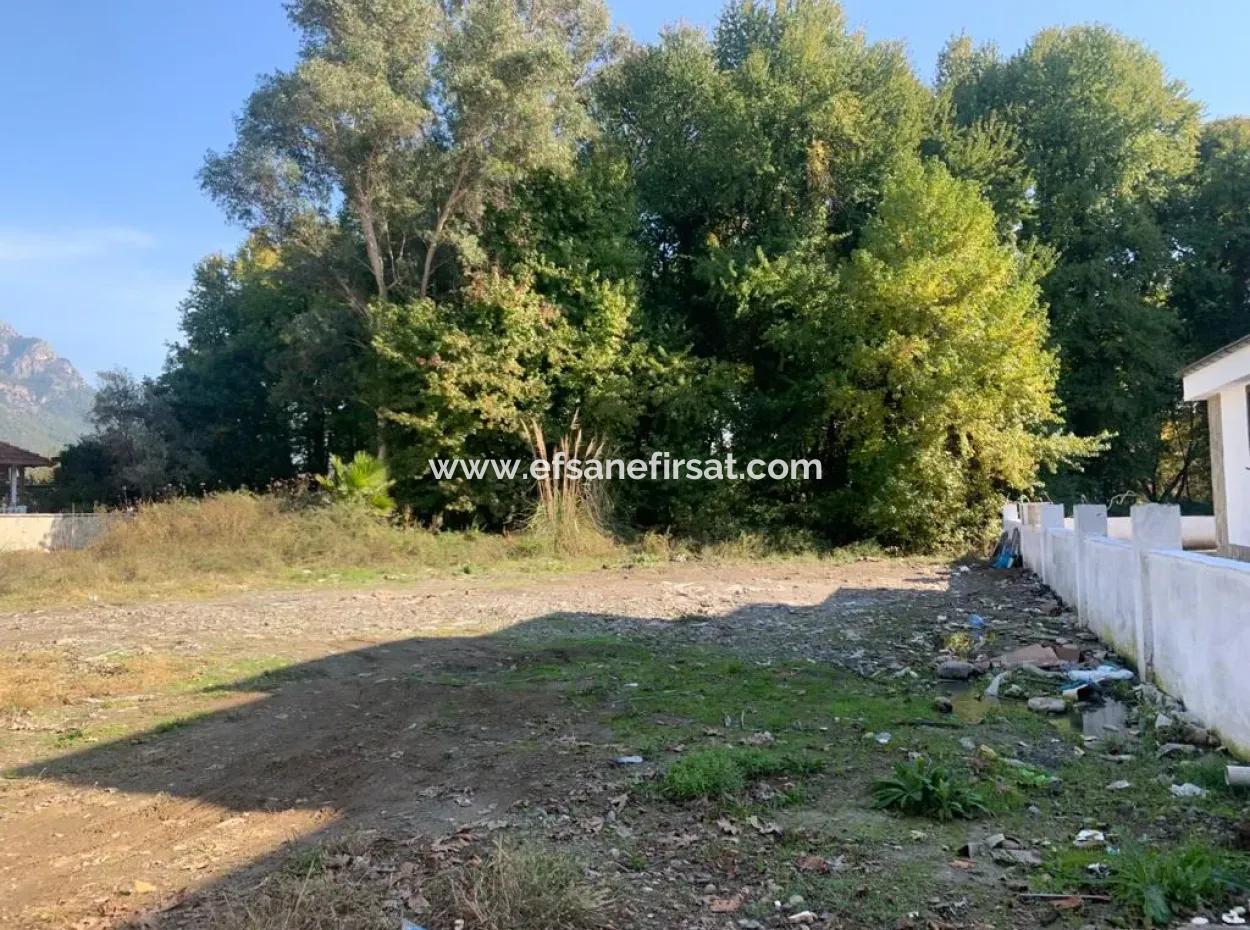 500 M2 Kelepir Land For Sale In Köyceğinz Yangı
