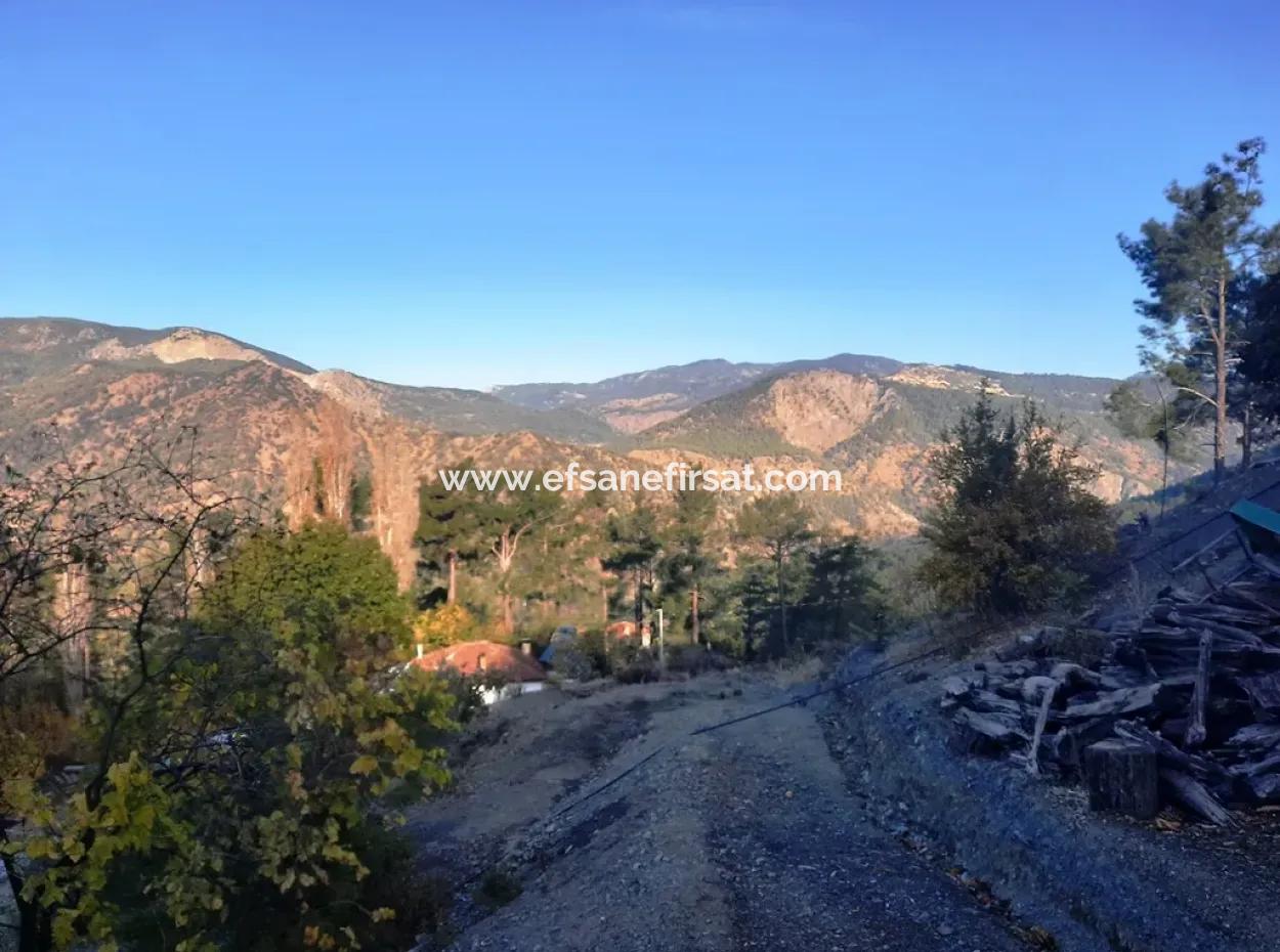 Mugla Dalaman Narli 1800 M2 Bargain Land For Sale