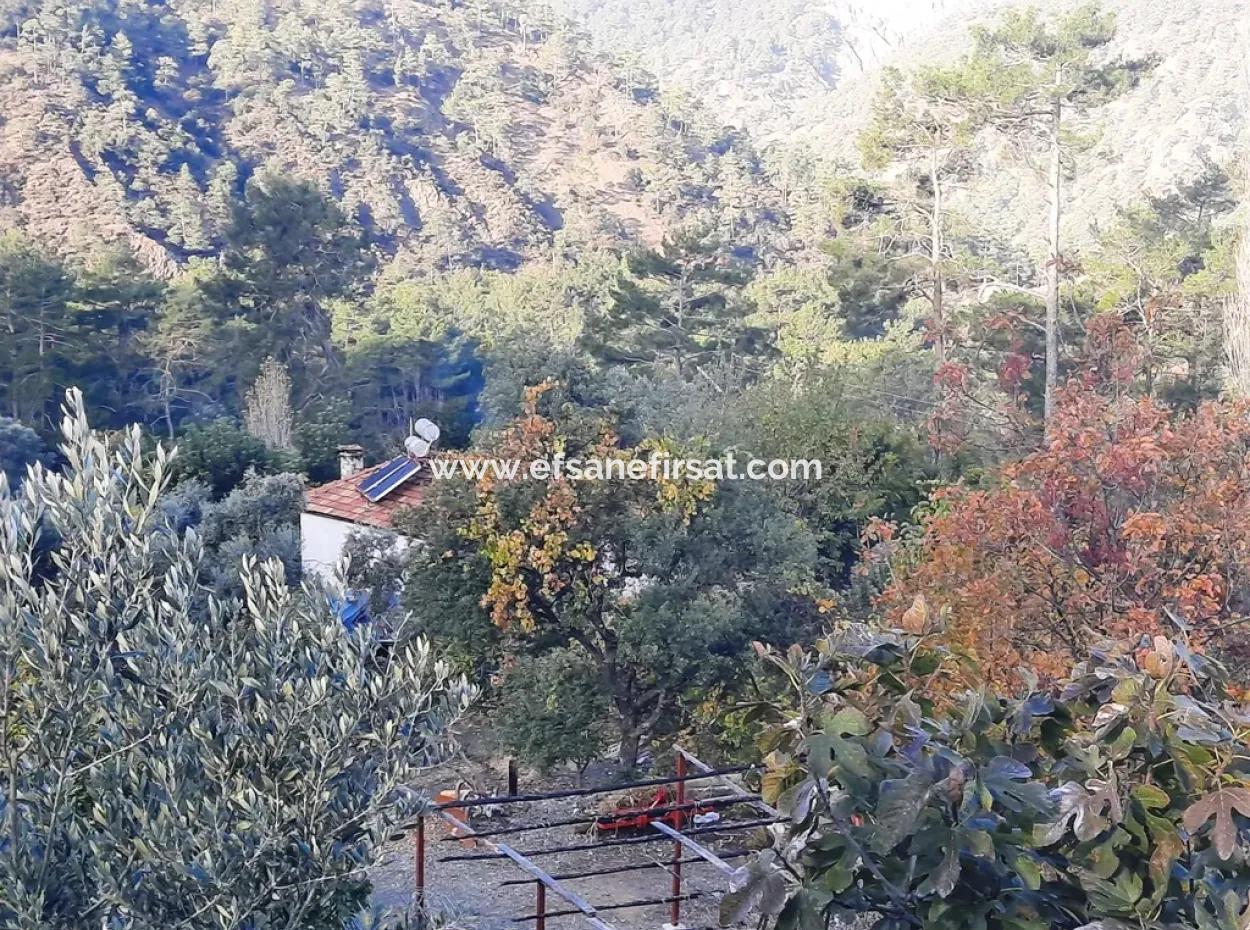 Mugla Dalaman Narli 1800 M2 Bargain Land For Sale