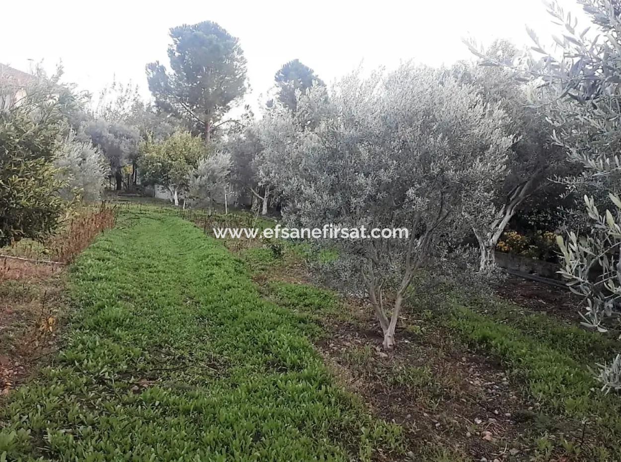 Zoning Plots With Lake Views For Sale In Köyceğinz Toparlar