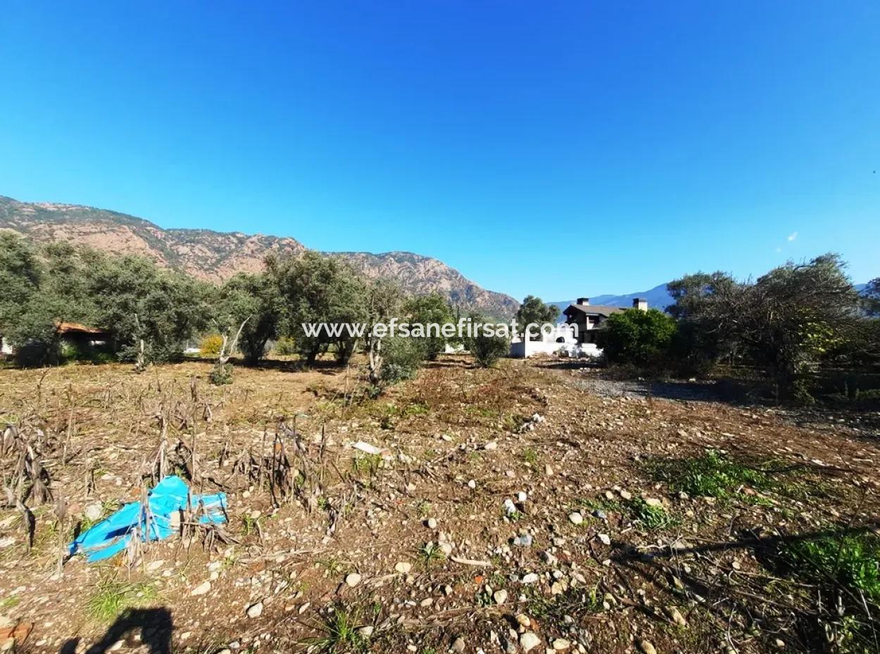 2,000 M2 Kelepir Detached Zoning Land For Sale In Köyceğinz Topars