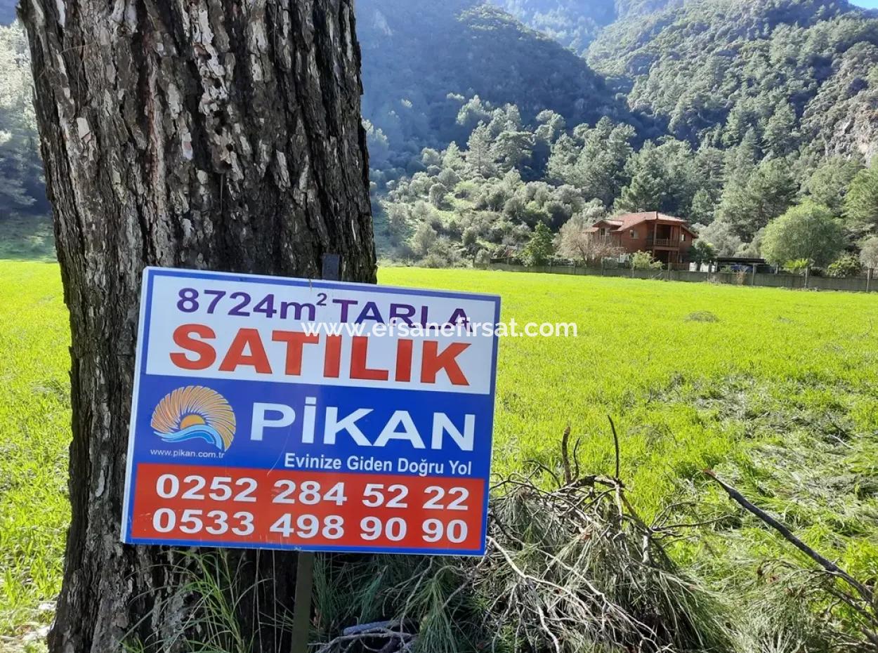 Mergenli For Sale In Ortaca Mountain Zero-Investment A Bargain Suitable Land