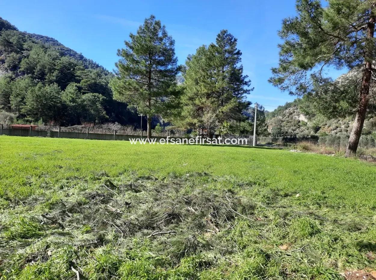 Mergenli For Sale In Ortaca Mountain Zero-Investment A Bargain Suitable Land