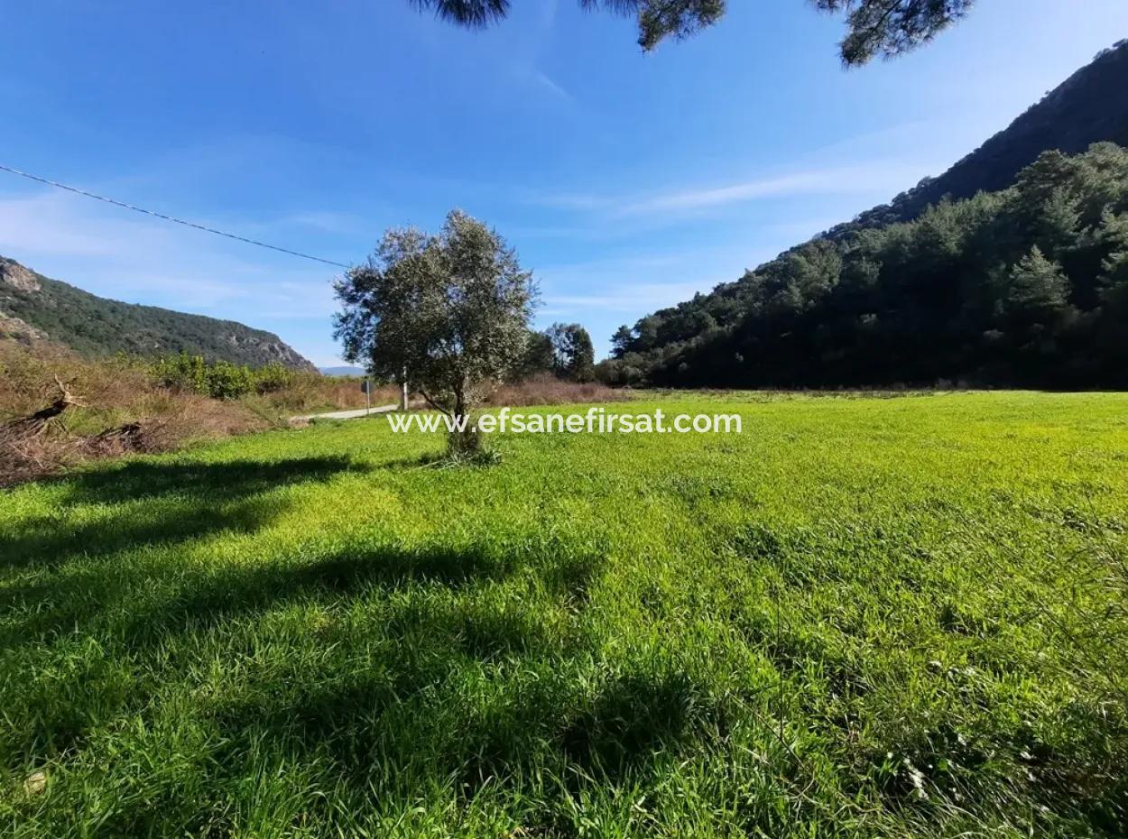 Mergenli For Sale In Ortaca Mountain Zero-Investment A Bargain Suitable Land