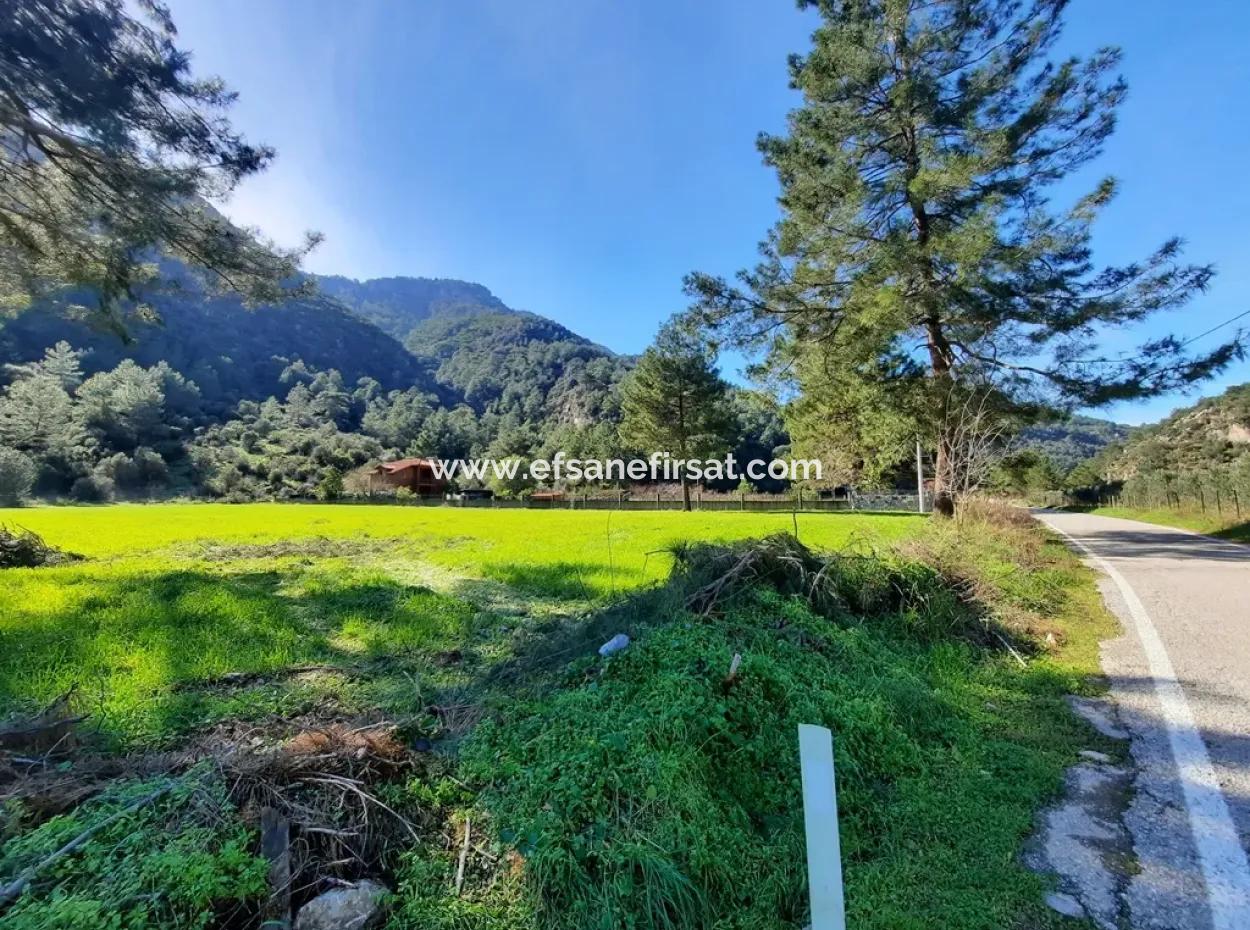 Mergenli For Sale In Ortaca Mountain Zero-Investment A Bargain Suitable Land
