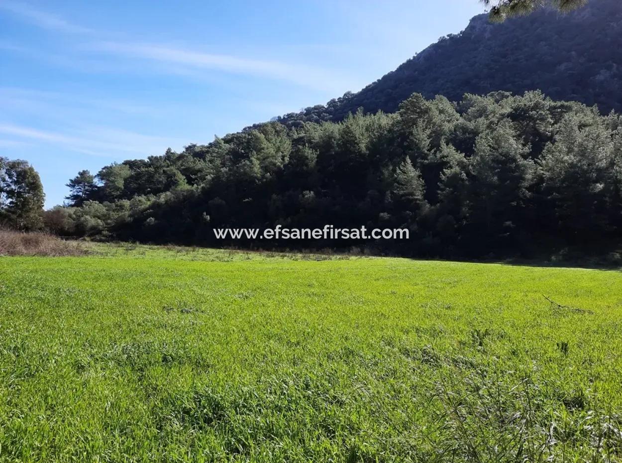 Mergenli For Sale In Ortaca Mountain Zero-Investment A Bargain Suitable Land