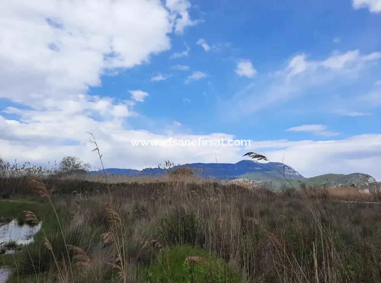 Opportunity Bargain Land Suitable For 9,000 M2 Investment For Sale In Dalyan