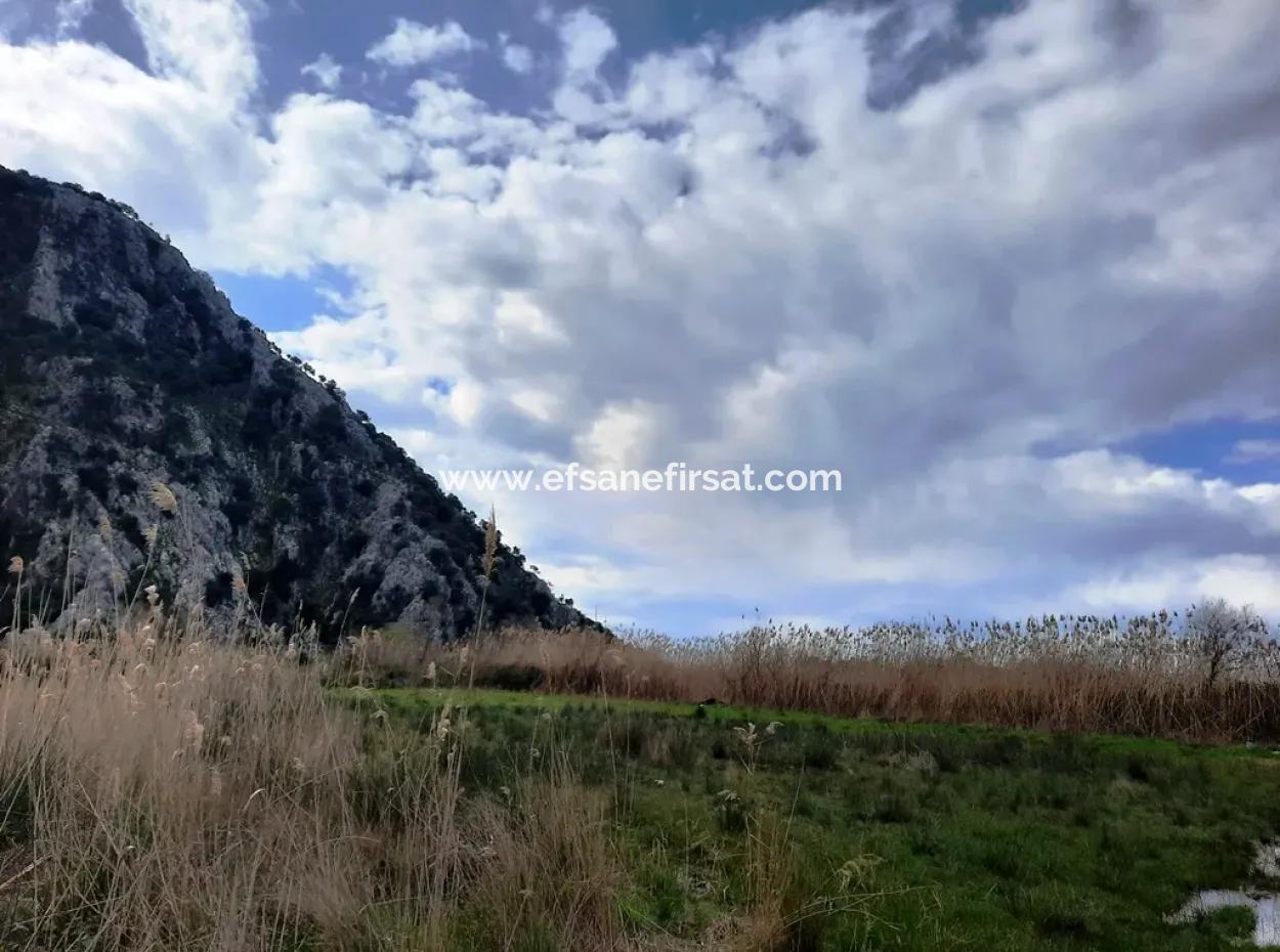 Opportunity Bargain Land Suitable For 9,000 M2 Investment For Sale In Dalyan