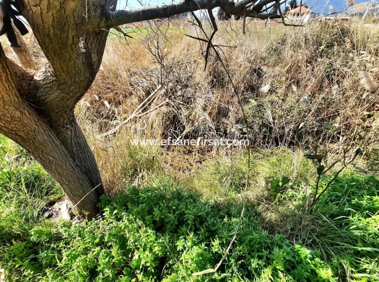 Mugla Dalyan 3500 M2 Land 120 M2 Single Storey Detached House For Sale