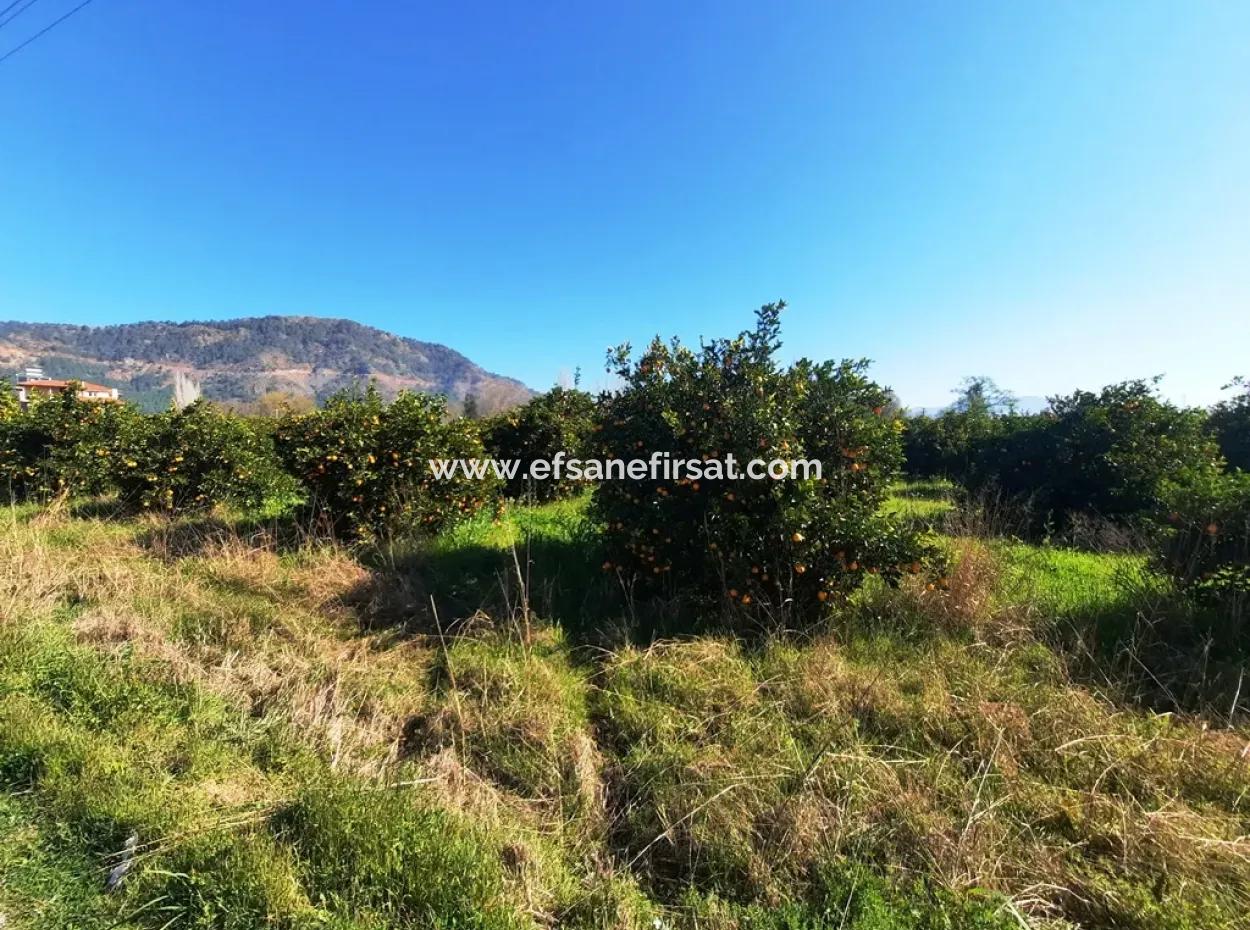 Mugla Archers Have 250 M2 Construction Rights For Sale On 1038 Plots