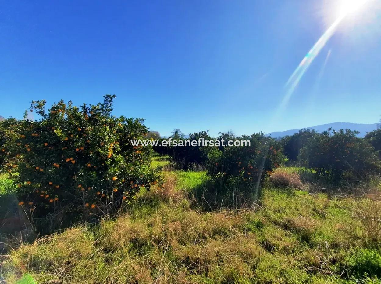 Mugla Archers Have 250 M2 Construction Rights For Sale On 1038 Plots