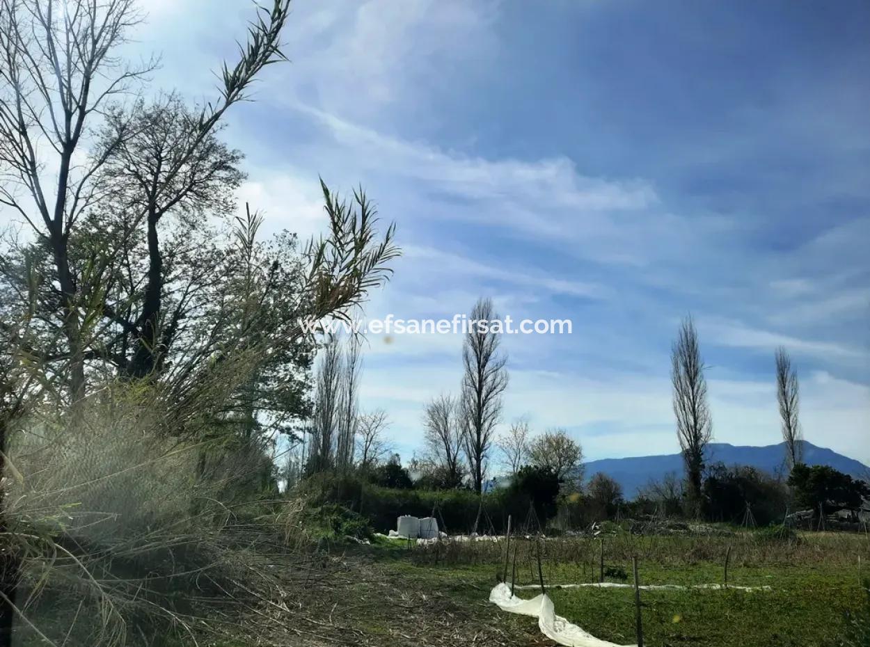 500 M2 Detached Land For Sale In Ortaca Archers