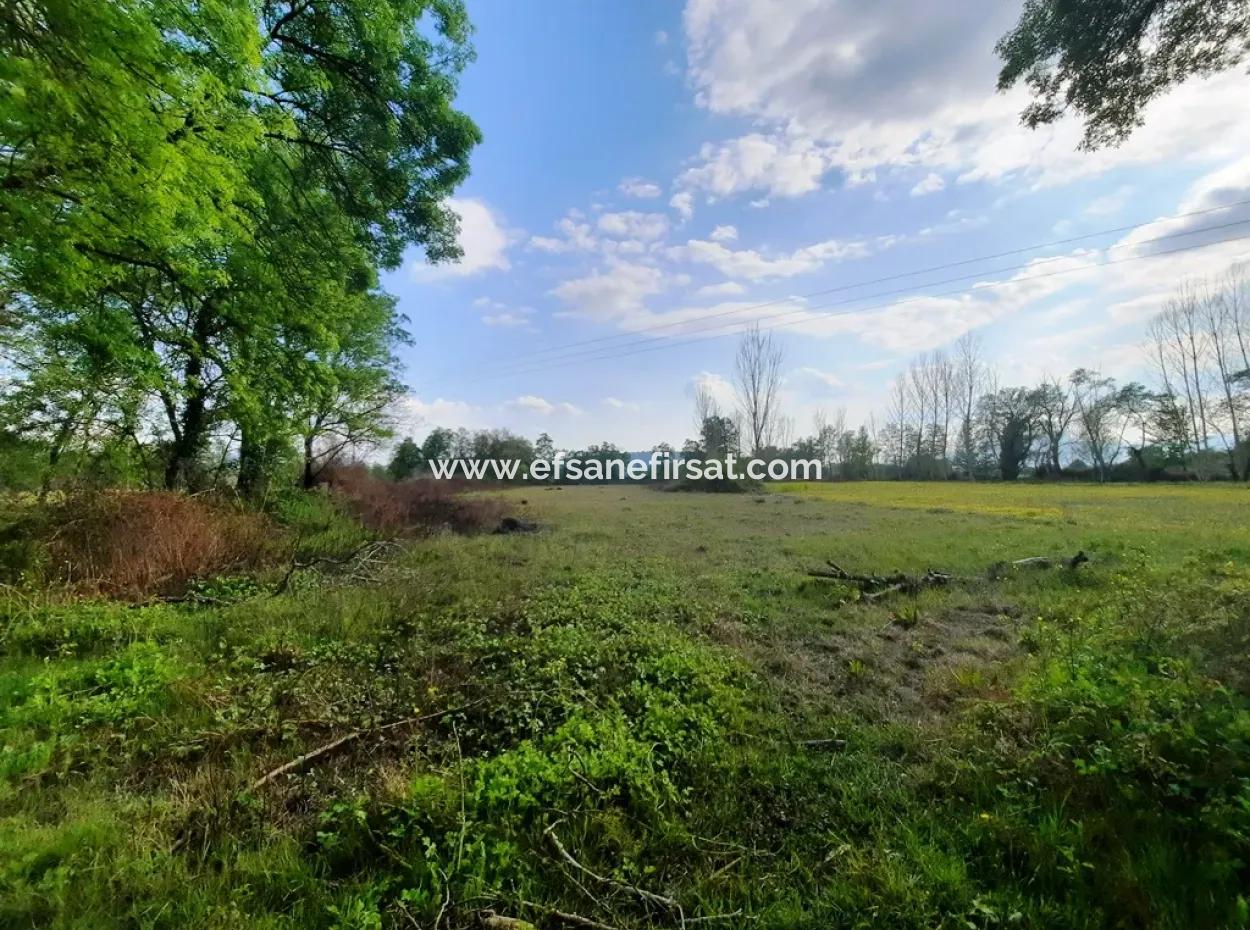 7668 M2 Bargain Land With Lake View For Sale In Köyceğiz Zeytinalani