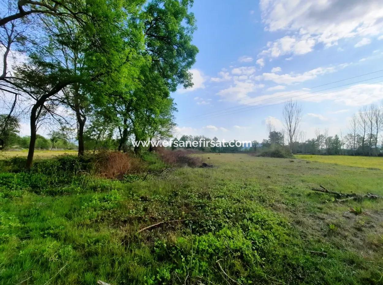7668 M2 Bargain Land With Lake View For Sale In Köyceğiz Zeytinalani