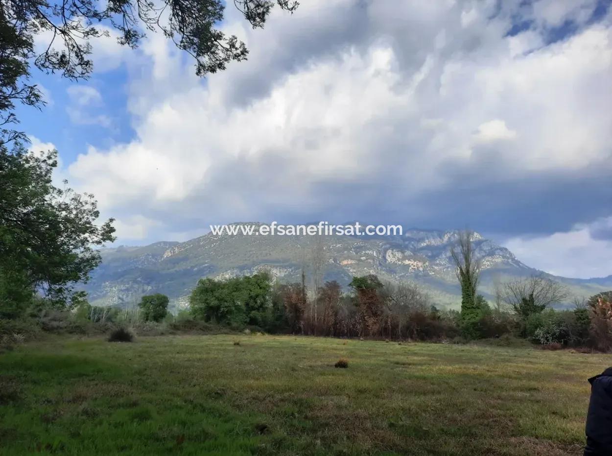 7668 M2 Bargain Land With Lake View For Sale In Köyceğiz Zeytinalani