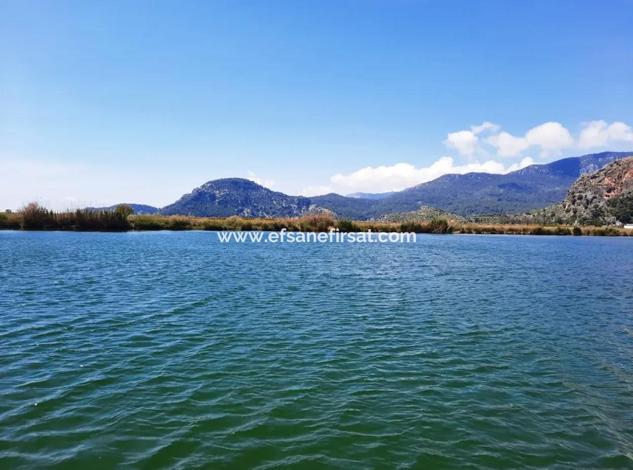 Mugla Dalyan Pomegranate Garden Suitable For Zero Investment In The Canal For Sale