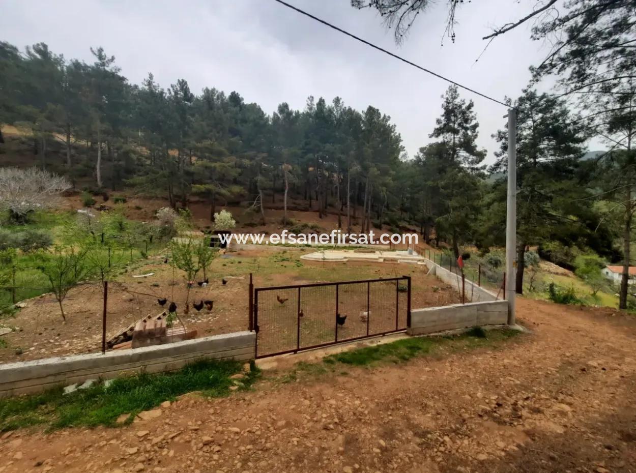 Köyceğinz Agla Yayla Opportunity 1050 M2 Zoning Land For Sale