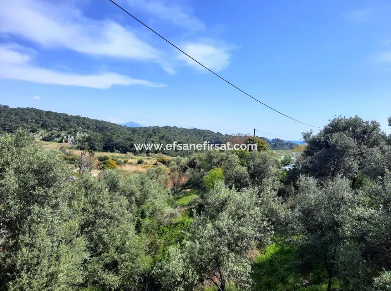 2 Parcels Of Land With 768 M2 Residential Development For Sale In Ortaca Sarıgerme