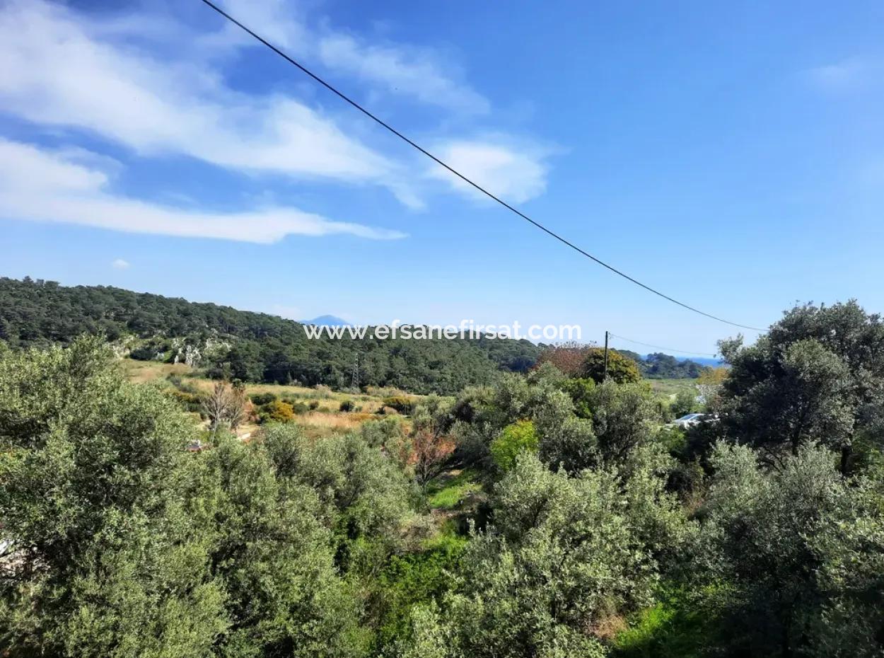 2 Parcels Of Land With 768 M2 Residential Development For Sale In Ortaca Sarıgerme