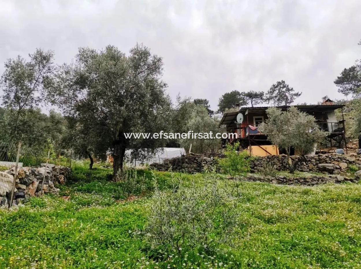 Detached Village House In Nature For Sale In Fethiye Gocek Taşbasi