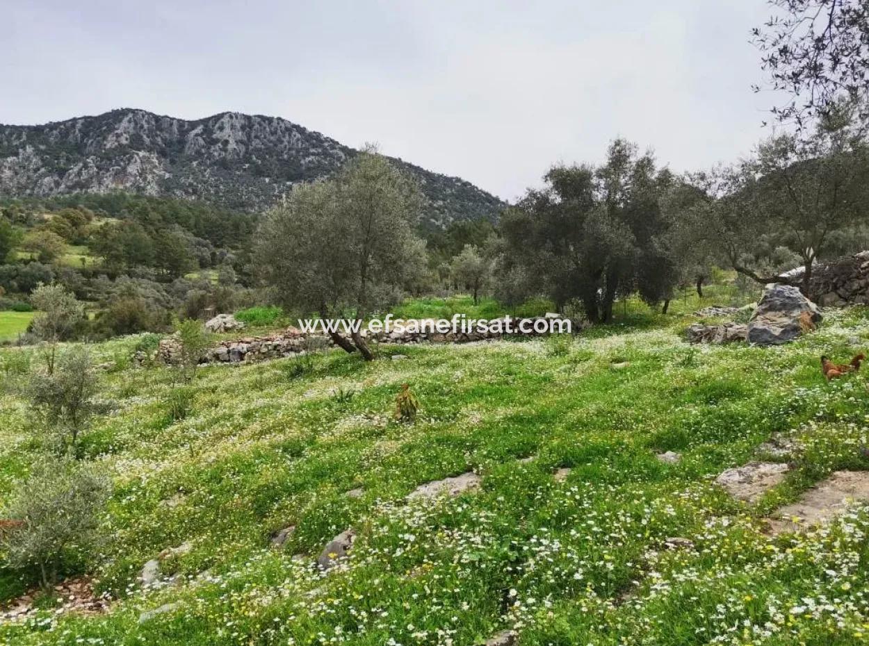 Detached Village House In Nature For Sale In Fethiye Gocek Taşbasi